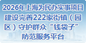 2026年上海为民办实事项目——建设完善222家街镇（园区）守护群众“钱袋子”防范服务平台