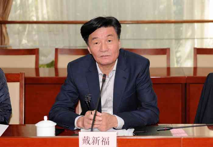 市局副局长戴新福一行到区政府召开上海市扫黑除恶专项斗争回头看督导